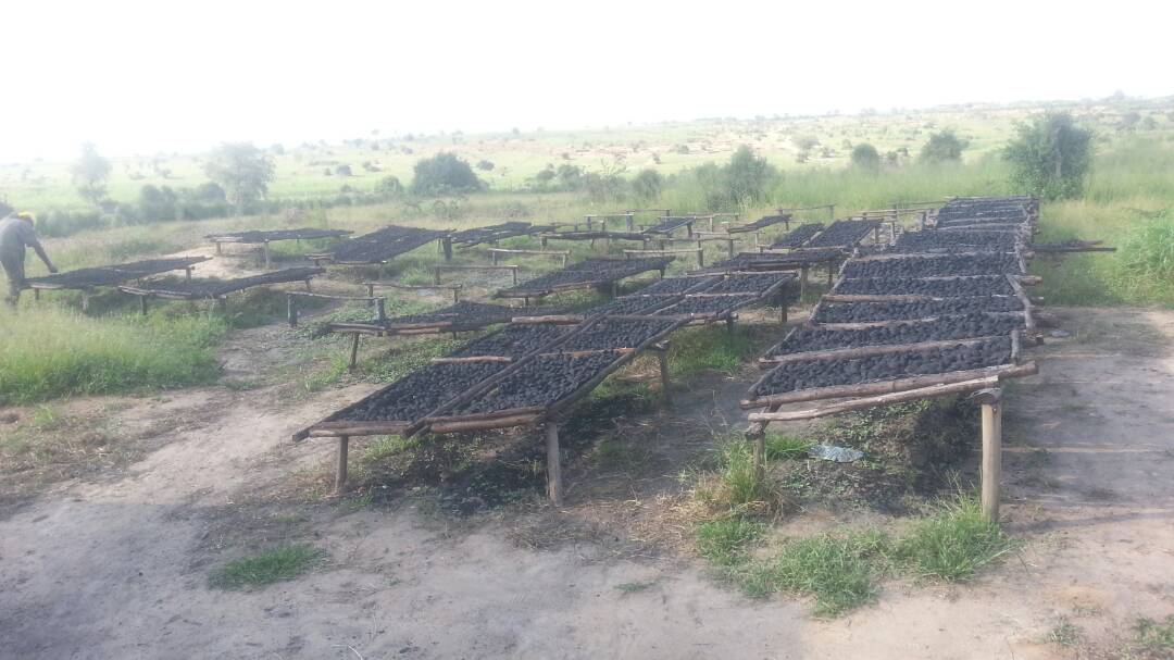 Briquettes production